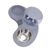 Double Cat Bowls Pet Food and Water Bowl Set Tilted