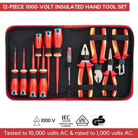 FESA 12-Piece Insulated Electrician Tool Set - 1000V Screwdriver & Pliers Kit with Voltage Tester & Storage Case