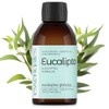 Natural Eucalyptus Essential Oil - 100% Pure - The Healing