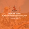 Hit List Seed® Grain Sorghum Food Plot Seeds for Deer