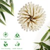 100% Biodegradable Bamboo Fibre Straws, Pack of 240 Bamboo Straws,