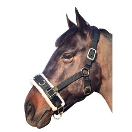 T TEKE Lunge Cavesson with Fleece Lined Nose Band and Crown