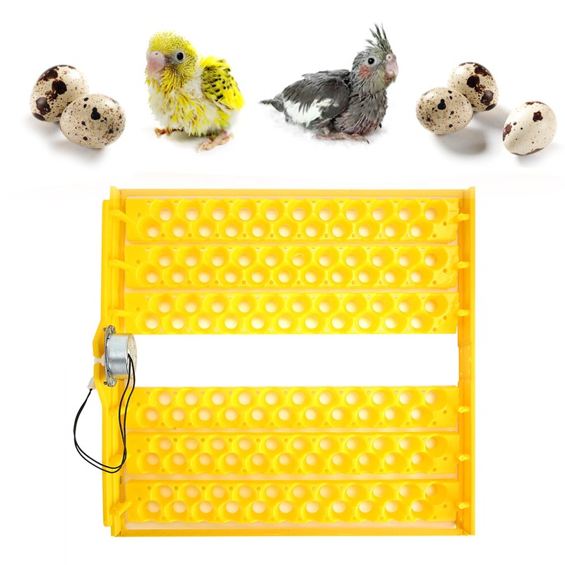 132pcs Eggs Automatic Egg Turner Turning Tray for Automatic Egg