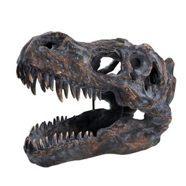 HEINBOW T-rex Skull Wall-Mounted Dinosaur Head Trophy Faux Taxidermy Wall Statue Fossil Figurine Wall Decor Tyrannosaurus Rex Skull Sculpture for Man Cave 15.5''Long