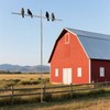Jarquia 9 Ft Outdoors Dove Tree Mounting Pole,Dove Hunting Accessories