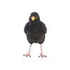 MAISONICA Black Bird Lifelike Ornament Statue Garden Outdoor Indoor H12cm