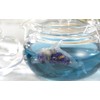 ocean-teabag Sea Tea Bags, Set of 10