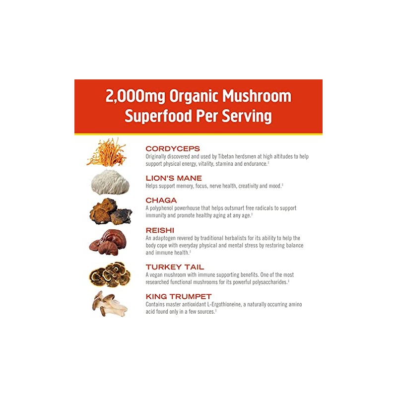 Mushroom Morning Energy Blend, 8 onzas