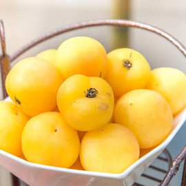 Beefsteak White Heirloom Tomato Seeds, 50 Heirloom Seeds Per Packet, Non GMO Seeds, Isla's Garden Seeds