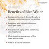THE FACE SHOP Rice Water Bright Foam Cleanser 300ml, 10.14