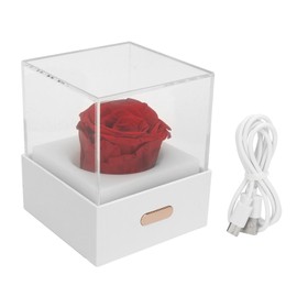 Rose Night Light Romantic Small USB Charging Soft Brightness Decoration Detachable Transparent Cover Rose Table Lamp for Home Red