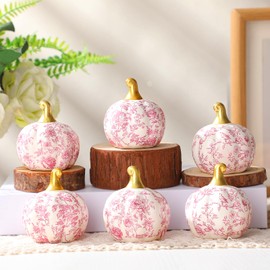 DoubleFill 6 Pcs Pink Ceramic Chinoiserie Pumpkins Fall Farmhouse Table Centerpiece Porcelain Pumpkin Tiered Tray and Mantel Ornaments for Indoor Thanksgiving Autumn Decor