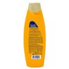 PERT, Shampoo Miel y Aguacate Ayuda a que tu cabello
