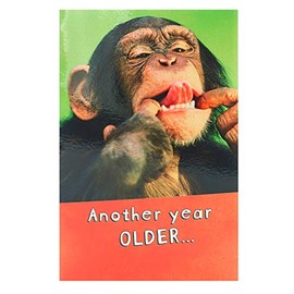 UK Greetings Funny Birthday Card - Monkey Birthday Card - Funny Card for Him - Funny Card for Her - Humour Birthday Cards, Multi, 0.2 x 12.7 x 19 cm