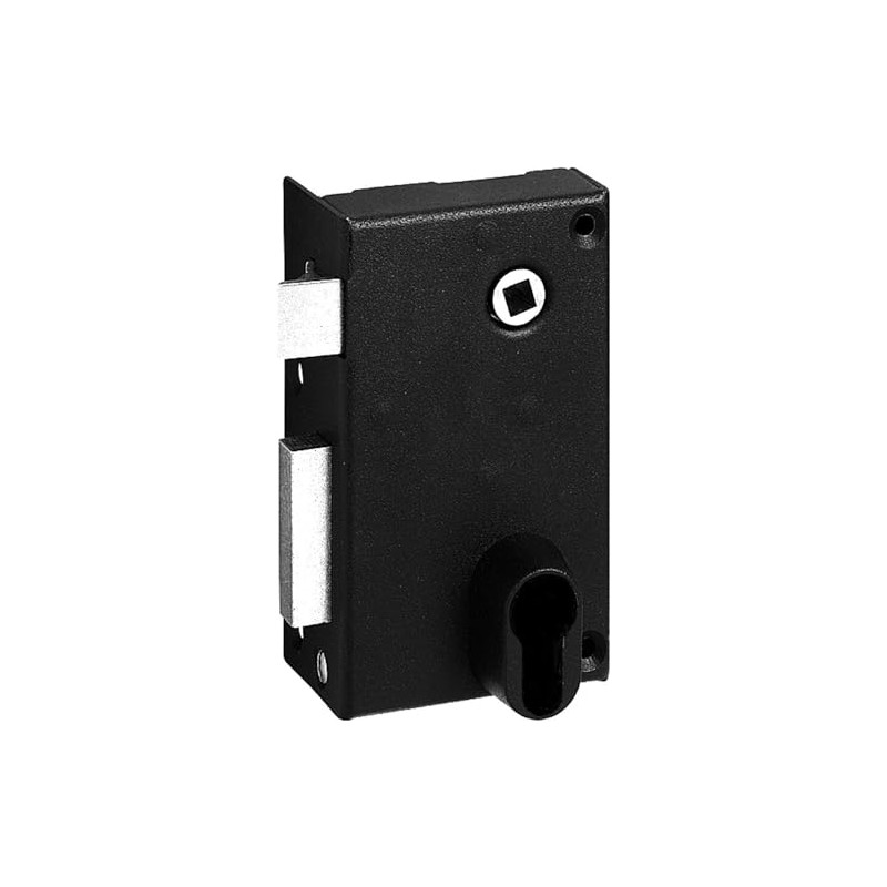 Abus FE9814202A SA V CE G Wall Lock with Handle/Vertical