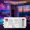 Vibe2Go ZigBee 3.0 Pro+ 5-in-1 Smart LED Controller, 20A Max