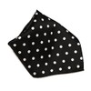 Vesuvio Napoli BLACK with WHITE Polka Dots Handkerchief Pocket Square