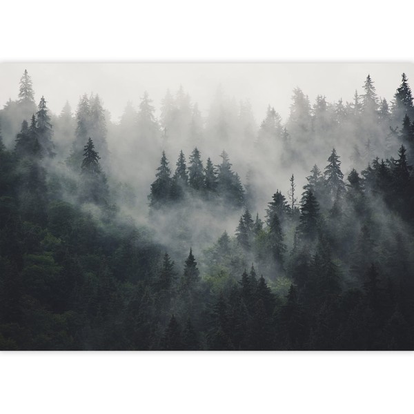 SIGNWIN Wall Mural Foggy Forest Removable Self-Adhesive Wallpaper Wall Decoration for Bedroom Living Room - 66x96 inches