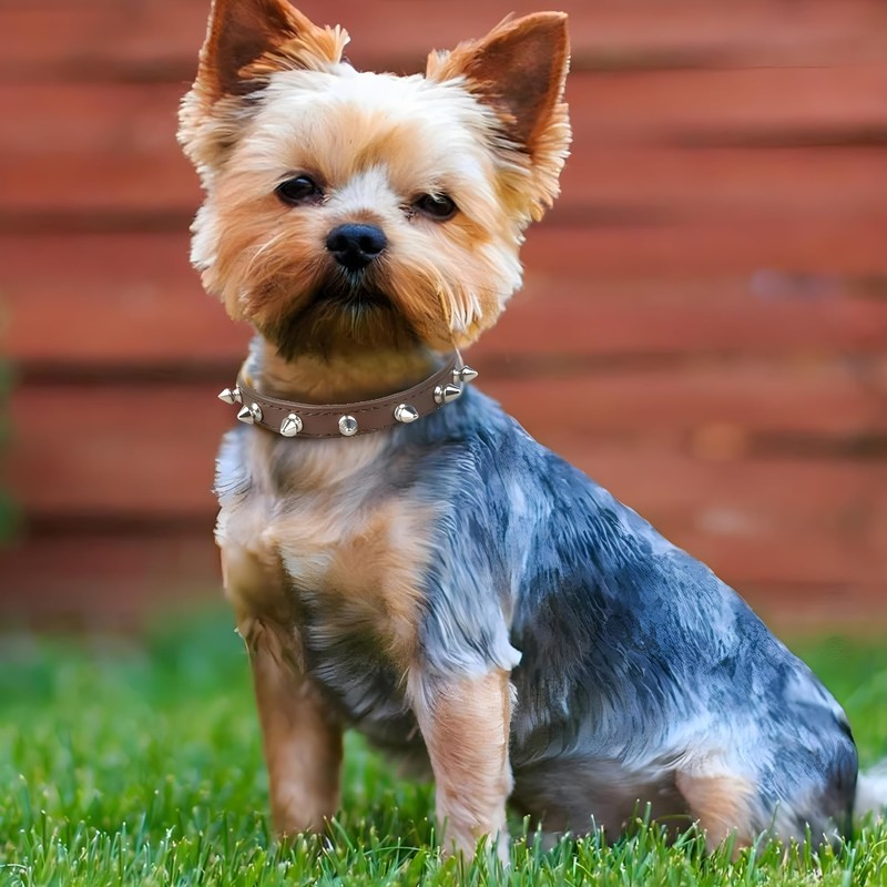 Spiked Dog Collar for Small Dogs PU Leather Spike Puppy