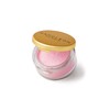Napoleon Perdis Loose Eye Dust 1.8g (Various Shades), Honey Child