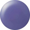 Cocoist E-217 Color Gel Smoky Blueberry 0.1 oz (2.5 g),