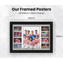 AllStarMedia Limited Edition Stoke City Football Club Autograph Signed Poster Print - Memorbilia Gift or Merchandise for Sport Fans (Framed A4 (30x21cm))