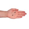 Pack of 50 Painted Blind Rivets 3.2 x 8 mm,