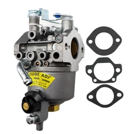 LIZAPUS Carburetor Kit Compatible with Compatible with Onan Microlite RV QG 2800 2.8KVFA26100K Generator Replacement Carb