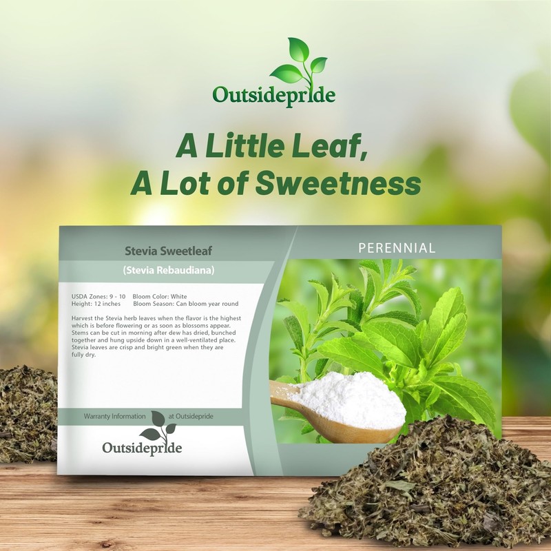 Outsidepride Stevia Sweetleaf Seeds - 100 Pcs. Perennial, Versatile &