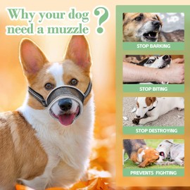 XIPEBROS Dog Muzzle,Soft Mesh Breathable Muzzle, Air Mesh Dog Muzzle with Reflective & Adjustable Strap for for Biting Chewing Grooming,Allow Panting Drinking,Dog Muzzle for Medium (M, Black)