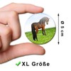 Fridge Magnets Horses Gift Set of 4 Horse Motif Magnets