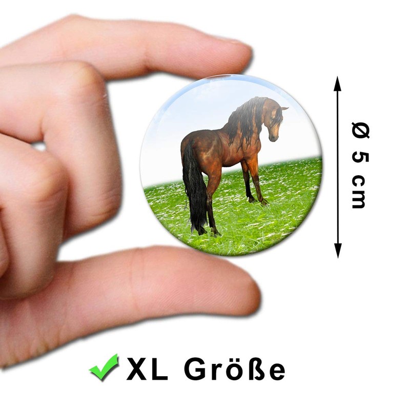 Fridge Magnets Horses Gift Set of 4 Horse Motif Magnets