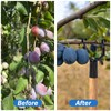 Coloch 20 Pack Metal Tree Branch Support, Y-Shape Tree Crutch