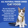 Formula Raw Freeze-Dried Raw Cat Food - Duck & Beef