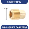 LTWFITTING Brass Fitting Pipe Square Head Plug 1/4 Male Male