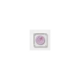 Beauty Creations Riding Solo Eyeshadows Sombras Individuales Sombra Legend Babe