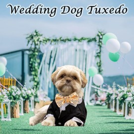 Formal Dog Tuxedo, Pet Costume Dog Wedding Tux Puppy Shirt with Gold Bow Tie, Dog Clothes for Small Medium Dogs Cats, Dog Wedding Attire Suit Party Outfit New Year Clothing Birthday Apparel (X-Large)