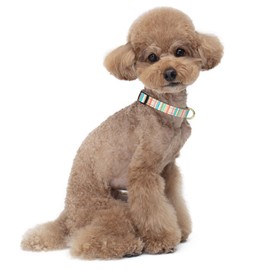 TMOODEL Reflective Dog Collar, Cute Dog Collar for Small Dogs, Soft Nylon Puppy Collar for Boy and Girl Female Dogs, Adjustable Pet Collars with Quick Release Buckle, Colorful Watercolor Art