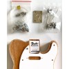 Fender Telecaster Model Kit - Build Your Own Mini Tele