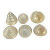 MMvloesy 6Pc Hermit Crab Shells,Turbo Shells,Withe Argystoma Turbo Banded Seashells