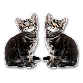 2 x 10cm Smiling Kitten Cat Vinyl Sticker Decal Laptop Tablet Animal #6300 (6.5cm Wide x 10cm Tall)