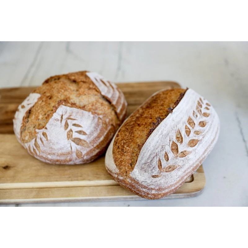 Heritage Sourdough Sourdough Starter San Francisco Heritage Dehydrated Organic -