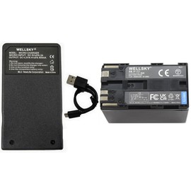WELLSKY BP-975 BP-970G BP-970 互換バッテリー 1個 + CA-935 超軽量 USB Type-C 互換充電器 バッテリーチャージャー 1個 [ 2個セット ] [ 端子保護カバー付き 純正品と同じよう使用可能 残量表示可能 ] キヤノン iVIS アイビス ビデオカメラ