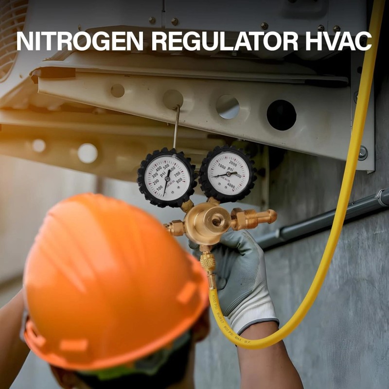 Unbranded Professional Nitrogen Regulator w/ Hose 0-800 PSI Output Pressure
