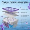 W&E Choice Moisture Absorber, Lavender Scented Dehumidifier for Home, Large