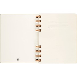 Moleskine Academic Monthly Planner 2023-2024, 12 Month Weekly & Monthly Planner, University Hardback Calendar, X-Large 20 x 25 cm, Crush Kiwi