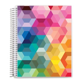 Erin Condren 8.5" x 11” Dot Grid Spiral Notebook, 5mm Dotted Layout with 80 Lb. Paper, Hexagon Cover, 160 Dot Grid Notebook Pages, Platinum Coil, Stickers Included