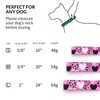 haoyueer Dog Collar and Leash Set, Slip Collar with Stop