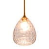 Homebelife Transparent Clear Hammered Glass Pendant Light with Brass Gold