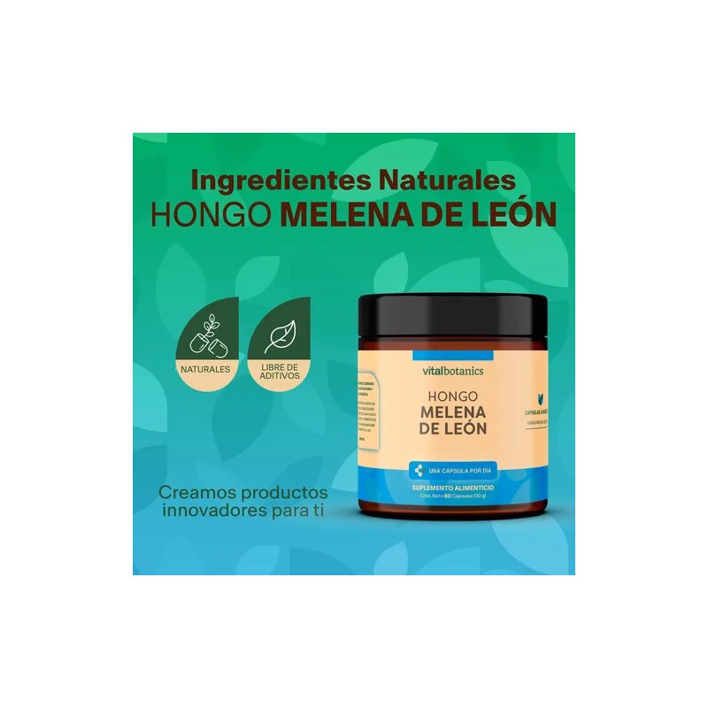 Hongo Melena De Leon 60 Capsulas Suplemento Nootropico Cereb